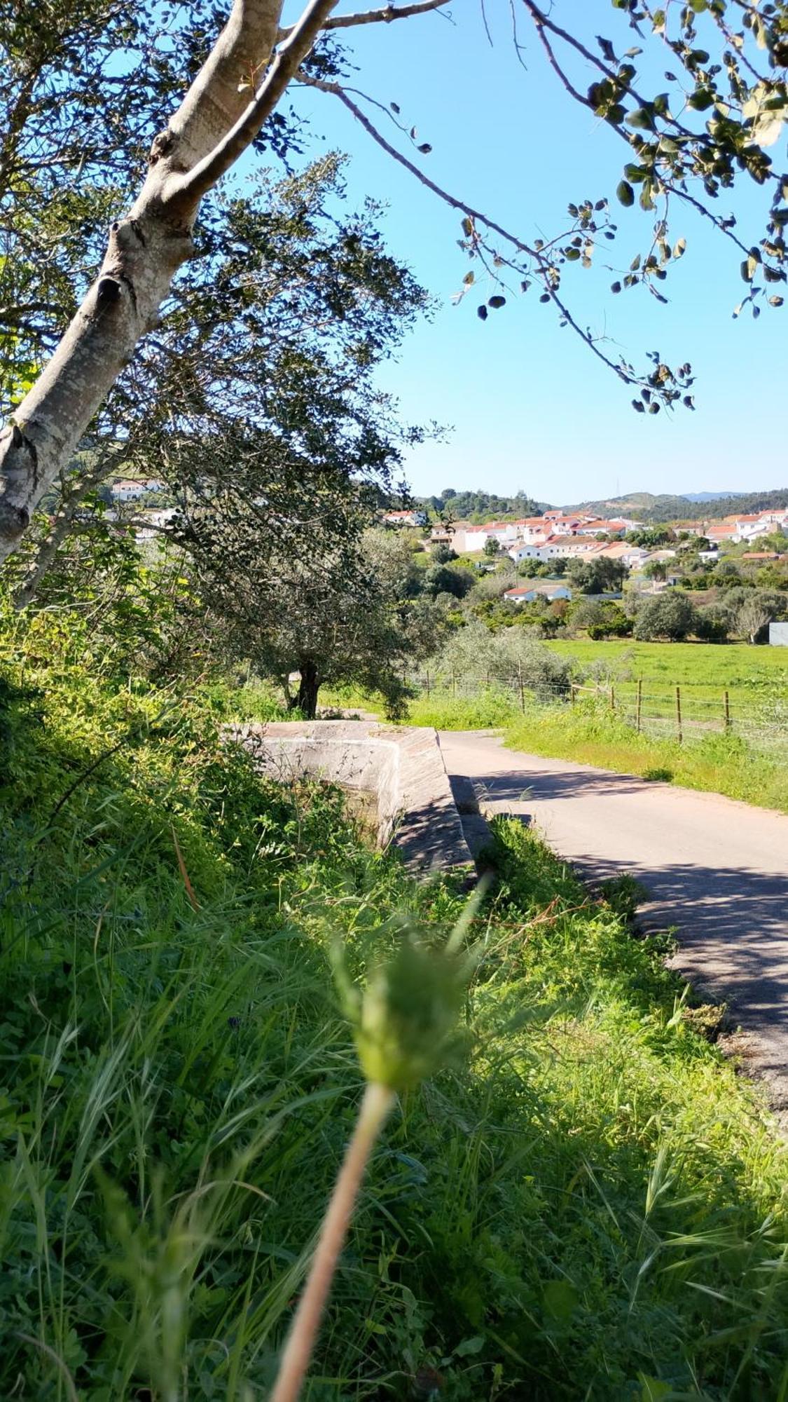 Paraiso Da Aldeia São Bartolomeu de Messines Eksteriør bilde